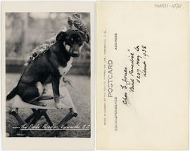 [Charles E. Jones' dog "Smoky"]