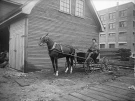 Man seated in a horse-drawn buggy