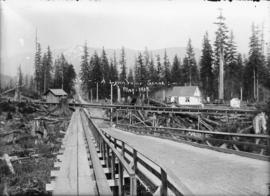 A Lynn Valley scene