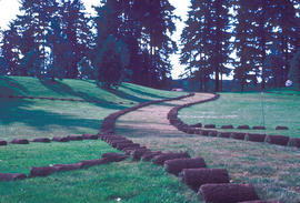 Sino-Himalayan : new road