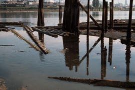 False Creek - Cleanup progress #6 [10 of 26]