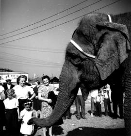 Children with elephant on P.N.E. grounds