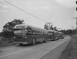 Blue Line Bus Co., Victoria, B.C. : buses on highway