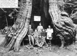 [The Stanley Park Hotel in the Hollow Tree]