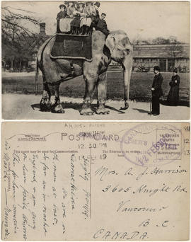 Riding on the Elephant at the Zoo, London