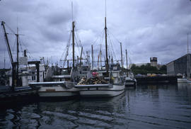 [View from] False Creek tour