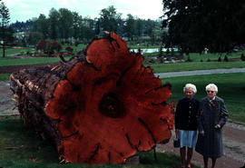 Construction : cedar log from MacMillan Bloedel