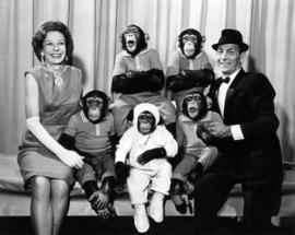 Publicity photo of Kirby's Chimpanzees, circus act