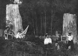 [1st Vancouver Troop of Baden-Powell Boy Scouts practicing lamp signals]