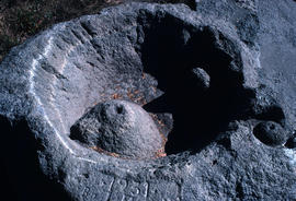 Habitat : Crater Lake model