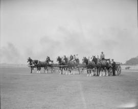 C.P. Exhibition [Two horse teams with wagons]