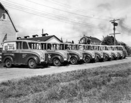 Part of the Fleet of the Special Delivery Trucks Operated by Frasea Farms