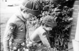 Boy Scouts gardening