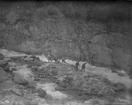 Unidentified group on a hike