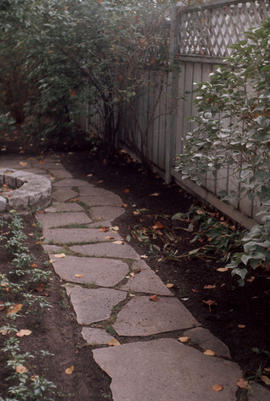 Landscape - detail : stone path