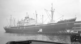 M.S. Tomashima Maru [at dock]