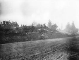 Marine Drive cut through Great Fraser Midden