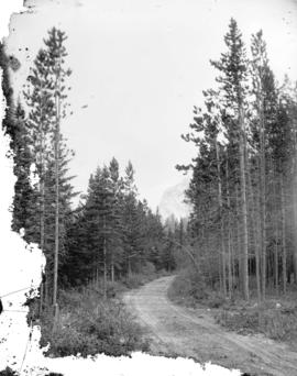 Drive to Spray and Bow River Falls, Banff, Canadian National Park