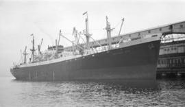 M.S. Geelongstar [at dock]