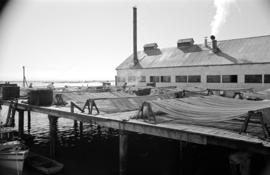 [Fishing nets on a dock]