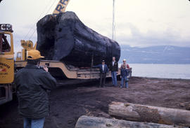 Logs for Lumberman's Arch - 2 [6 of 18]