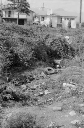 China Creek tributary