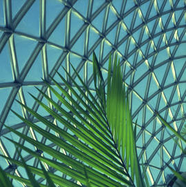 MacMillan Bloedel Conservatory