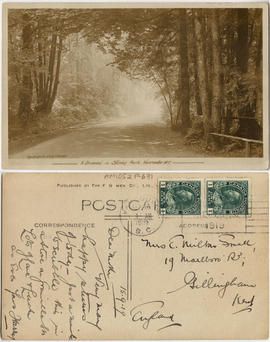 A driveway in Stanley Park, Vancouver BC