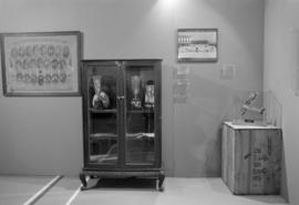 Artifacts on display at the Saltwater City exhibit