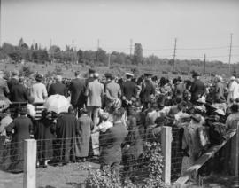 Crowd watching a military ceremony