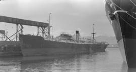 S.S. Baron Scott [at dock]