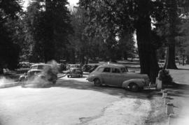 [Parked cars and traffic along Coal Harbour drive in Stanley Park]