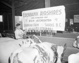 Chilliwack Fair