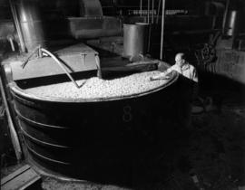 [Man checking pulp vats at] Pacific Mills