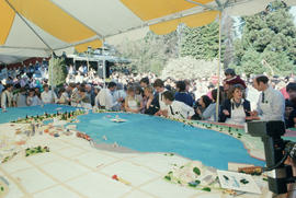20 foot by 24 foot cake for Centennial birthday celebration at Stanley Park