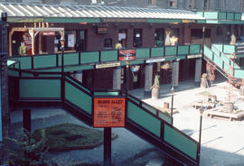 Blood Alley before reconstruction [- Blood Alley Square]