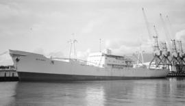 M.S. Byfjord [at dock]