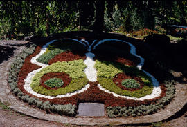 Children's Garden : parterre