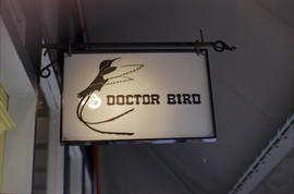 Maple Tree Square Signs [Doctor Bird Jamaican Fashions, 2 of 2]