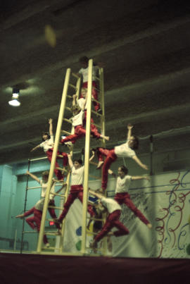 Cirkids performing ladder routine