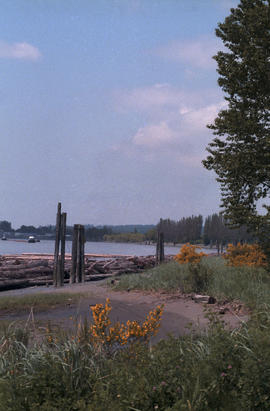 Fraser River Trail