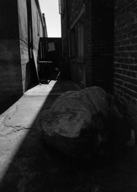 Alley in Chinatown, Victoria, B.C.