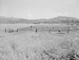 Pastoral scenes, B.C.