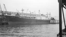 M.S. Yamatoyo Maru [at dock]
