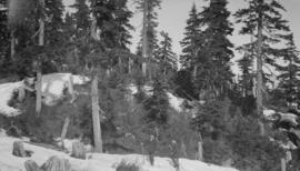 Two men standing on snow covered terrain