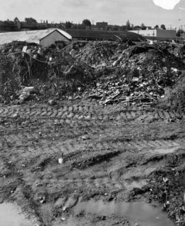 [Clearing the land for New Brighton Park]