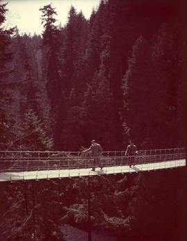 Suspension Bridge, Capilano Canyon