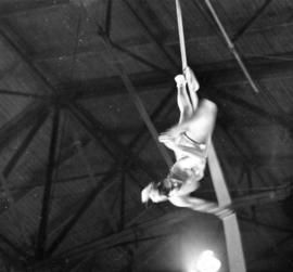 Trapeze act in P.N.E.-Shrine Circus in P.N.E. Forum