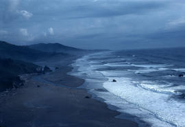 Habitat : Oregon Coast