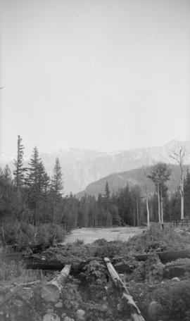 View of a creek with mountains in the background